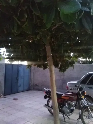 تصویر 12 - خانه ویلایی آقاجون در  هرمز