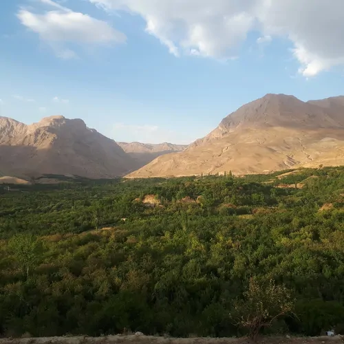 تصویر 5 - ویلا ویلا  در  نیشابور