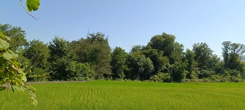 تصویر 16 - کلبه چوبی افشار در  اسالم