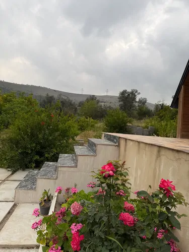 تصویر 23 - کلبه زیتون در رستم آباد