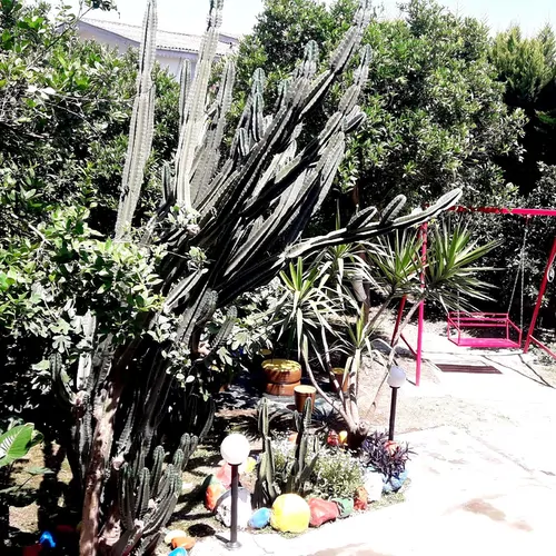تصویر 18 - ویلا باغ افسانه در  رامسر