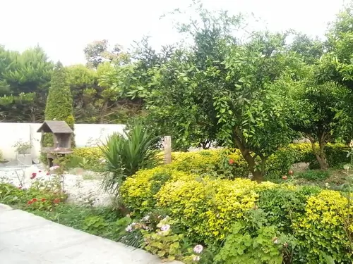 تصویر 21 - ویلا  باغ بهشت در  کلارآباد