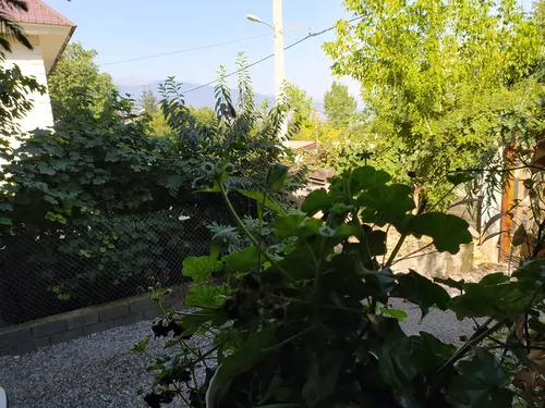 تصویر 16 - ویلا سنتی کیهان در  کلاردشت