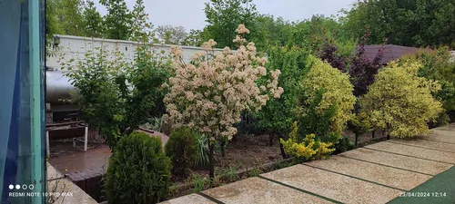 تصویر 11 - ویلا باغ استخردار آبگرم باغستان  در  شهریار