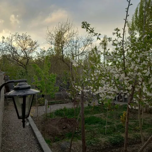 تصویر 12 - ویلا باغ شاندیز در  شاندیز