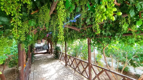 تصویر 16 - ویلا ترنج با فوتبال دستی  در  کاشان