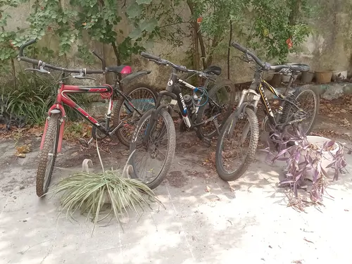 تصویر 24 - کلبه عالیجاه در  رشت