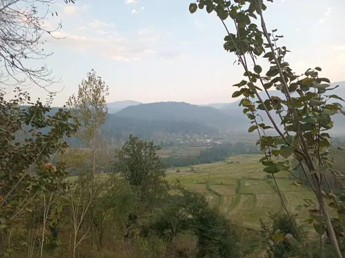 تصویر 11 - ویلا آسمان شب در بابل