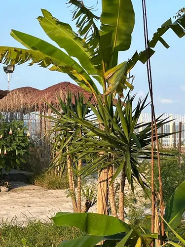 تصویر 6 - ویلا ساحلی فلامینگو در  متل قو