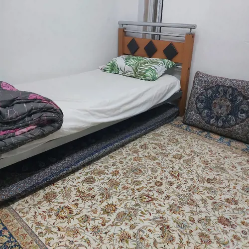 تصویر 2 - ویلا خانه باغ در ساری