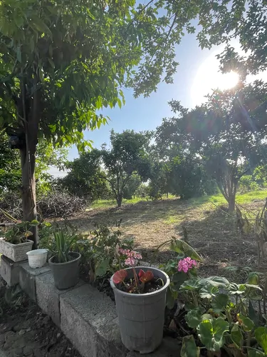 تصویر 8 - کلبه باغ رز در چمستان
