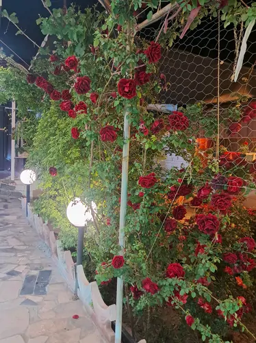 تصویر 23 - ویلا استخردار آبگرم بهارستان کبوتر آباد در  اصفهان