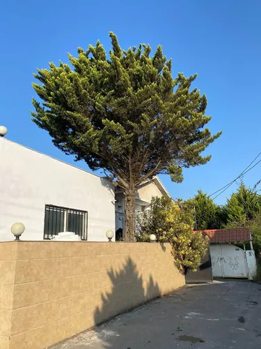 تصویر 21 - ویلا استخردار آبگرم گلبرگ در سرخ رود