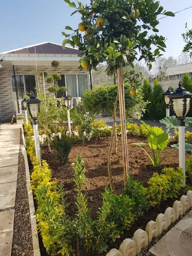 تصویر 11 - ویلا جزیره در  کوچصفهان