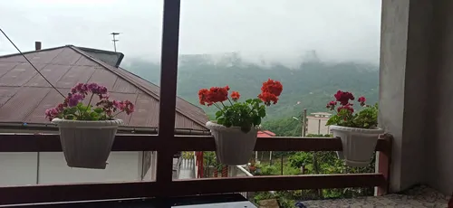 تصویر 13 - ویلا چشم انداز جنگلی دالخانی حسنی در  رامسر
