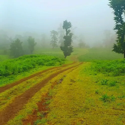 تصویر 16 - کلبه چوبی پدر  در  ماسال