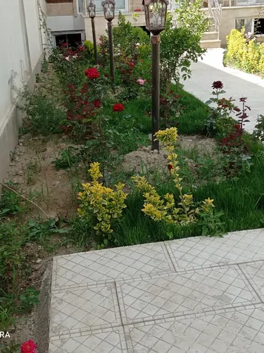 تصویر 5 - ویلا تغریحی در  کردان