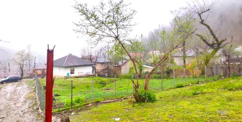 تصویر 11 - روستایی و عشایری روستایی امیر در  ماسال
