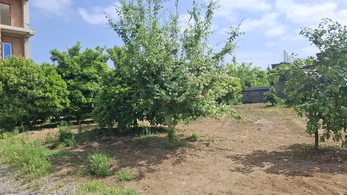 تصویر 19 - ویلا روستایی نقلی دریا در فرح آباد