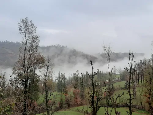 تصویر 55 - ویلا جنگلی آپادانا روستای استخرگاه در  رستم آباد