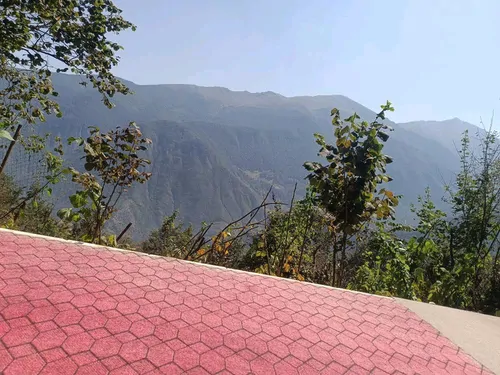 تصویر 2 - سوییت جنگلی مبین در دوهزارشهسوار