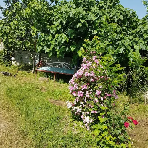 تصویر 5 - ویلا باغ ویلای ساحلی-جنگلی خُرمالو ٢ در  اسالم