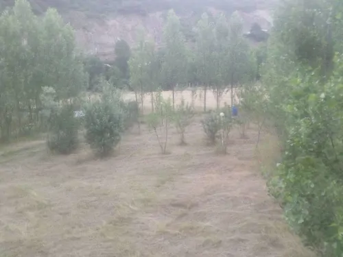 تصویر 5 - ویلا باغ ویلای تندیس حیران  در  آستارا