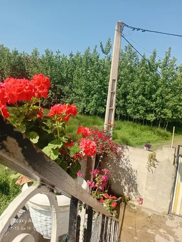 تصویر 3 - ویلا اقامتگاه ویلایی با بهترین میزبانی ویوی عالی دارد  در فومن