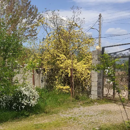 تصویر 25 - ویلا جنگلی لاله با فوتبال دستی در  ماسال