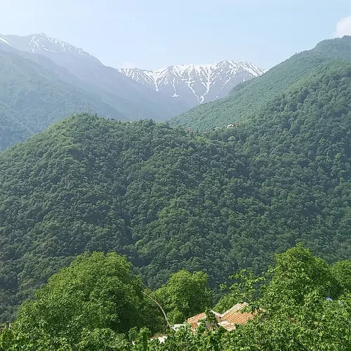 تصویر 17 - ویلا باغ سرای امیران دوهزار در  دوهزارشهسوار