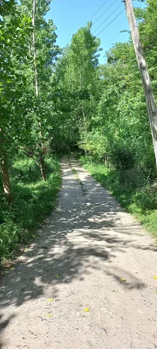 تصویر 14 - خانه روستایی جنگلی آرزو در  لفور