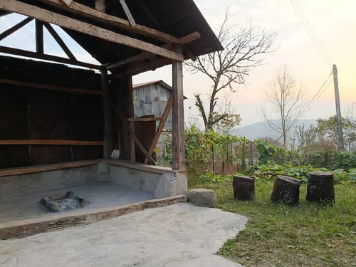 تصویر 15 - کلبه  توسکا (2) در  شیرگاه