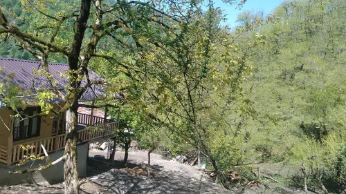 تصویر 24 - کلبه چوبی جنگلی پناه در  لفور