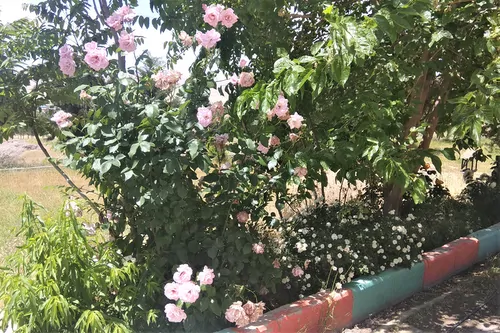 تصویر 4 - پانسیون کمالوند (واحد1) در خرم آباد