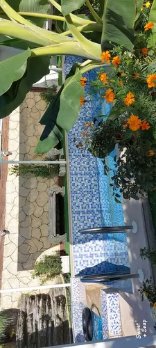 تصویر 2 - ویلا ویلا لاکچری  شکوفه ها  در دزفول