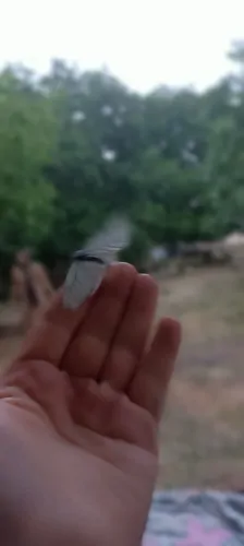 تصویر 3 - ویلا خونه اروم روستایی خورشید  در شهرکرد