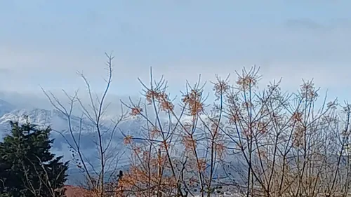تصویر 5 - ویلا اقامتگاه اقتصادی روخونه کنر(کنار رودخانه) در رودسر