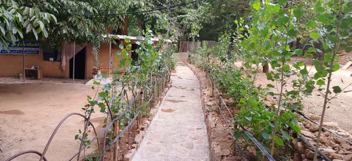 تصویر 10 - اقامتگاه بوم‌گردی گلاویژ (1) در  سنندج