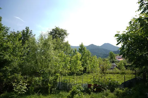 تصویر 18 - کلبه سوئیسی آیهان در  ماسال