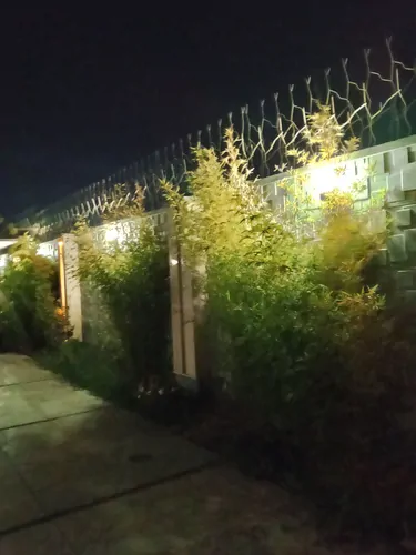 تصویر 31 - ویلا استخردار آبگرم شاه عباس با روف گاردن و فوتبال دستی  در  سهیلیه