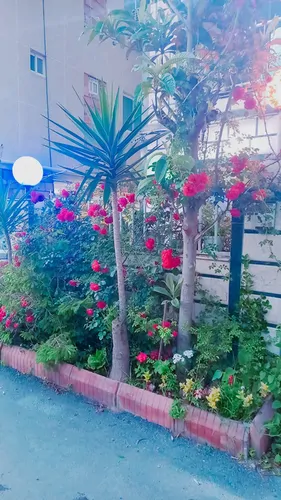 تصویر 23 - آپارتمان ساحلی دریا (۳) در  محمودآباد