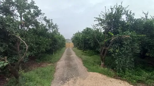 تصویر 14 - کلبه سوئیسی استخردار آبگرم ریتا در بهشهر