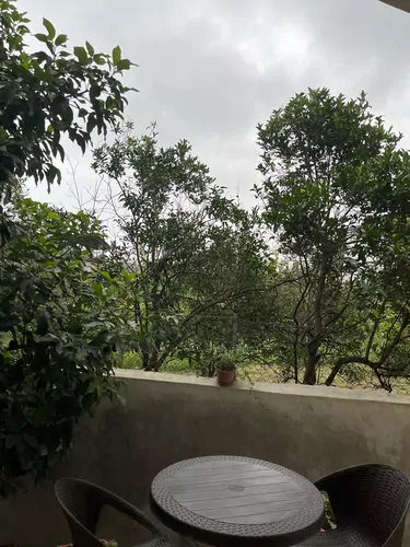 تصویر 15 - ویلا کوزه گر در رامسر