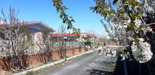 تصویر 9 - ویلا کندیم (۱۱) در  نمین
