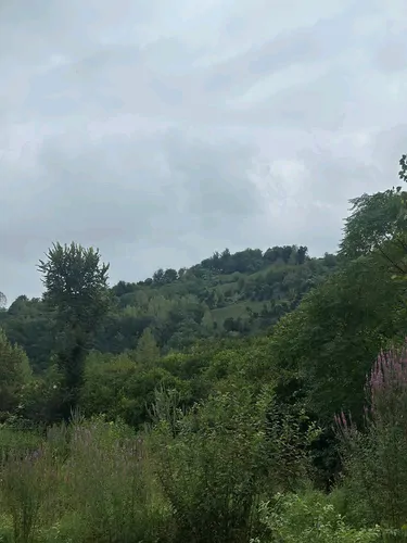 تصویر 2 - ویلا سوییت کوهپایه ای در رودسر