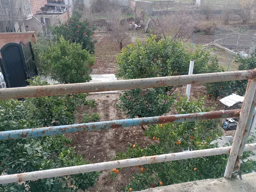 تصویر 13 - ویلا هیرکانی در  بهشهر