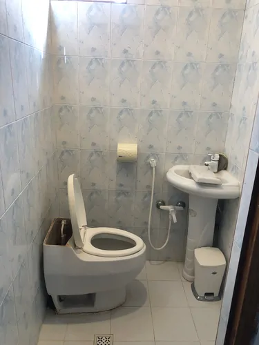 تصویر 10 - خانه الماس (۲) در  نور