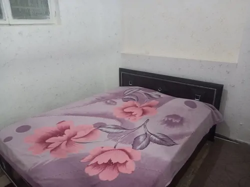 تصویر 2 - خانه منزل ویلایی ریحانه در شیراز
