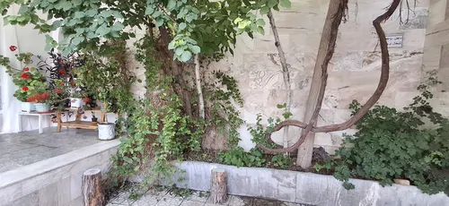 تصویر 28 - ویلا کهن خانه در  سامان