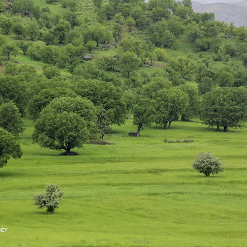 تصویر 4 - روستایی و عشایری چهارمحال بختیاری بازفت در کوهرنگ